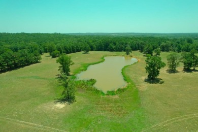 Lake Acreage For Sale in Elkhart, Texas