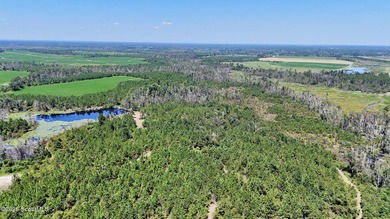 Introducing a premier, all-season hunting and potential - photo 1