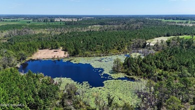 Introducing a premier, all-season hunting and potential - photo 4