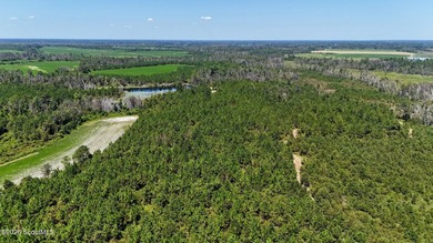 Introducing a premier, all-season hunting and potential - photo 5