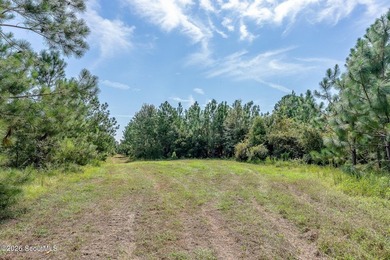 Introducing a premier, all-season hunting and potential - photo 8
