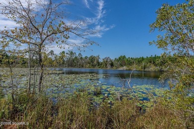 Introducing a premier, all-season hunting and potential - photo 10