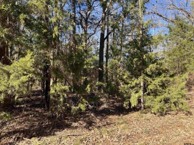 Lake Lot For Sale in Mount Vernon, Texas