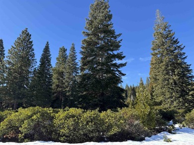 This is a lovely lot ready for your dream home! Nice tree - photo 2