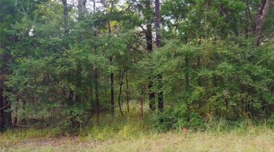 This half-acre property in the established Forest Hills - photo 3