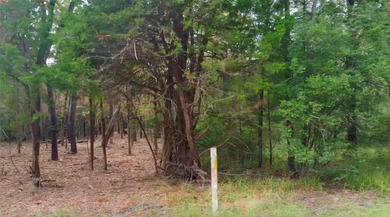 This half-acre property in the established Forest Hills - photo 4