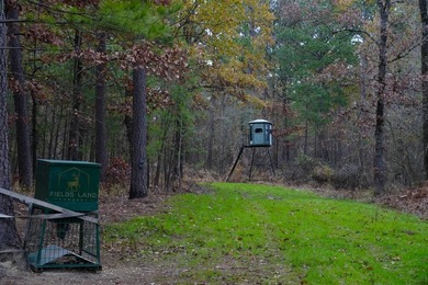If you're in the Market for world Class Black Bear and Whitetail - photo 3