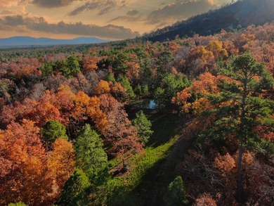 If you're in the Market for world Class Black Bear and Whitetail - photo 5