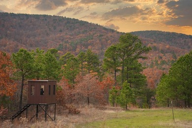 If you're in the Market for world Class Black Bear and Whitetail - photo 6