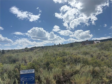 Excellent 1.68 ac building lot in upper Sweetwater Sub. Great - photo 6