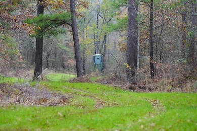 If you're in the Market for world Class Black Bear and Whitetail - photo 7