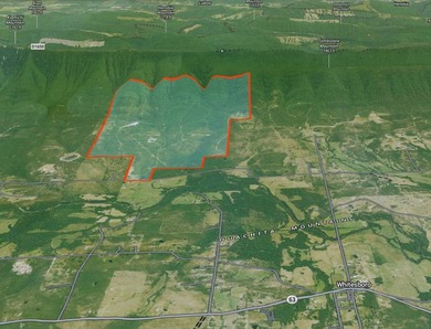 If you're in the Market for world Class Black Bear and Whitetail - photo 8