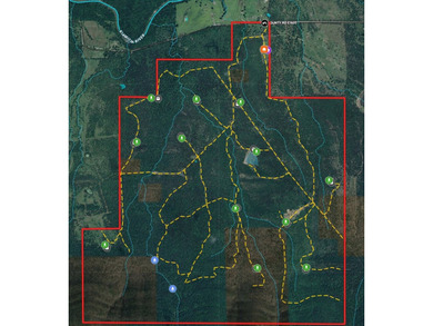 If you're in the Market for world Class Black Bear and Whitetail - photo 9