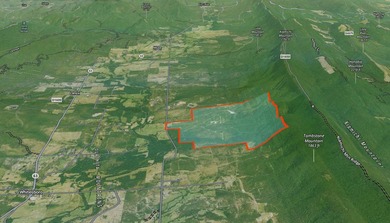 If you're in the Market for world Class Black Bear and Whitetail - photo 10