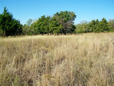 Canadian River Acreage For Sale in Mustang Oklahoma