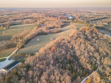 (private lake, pond, coastal) Home For Sale in Lonedell Missouri