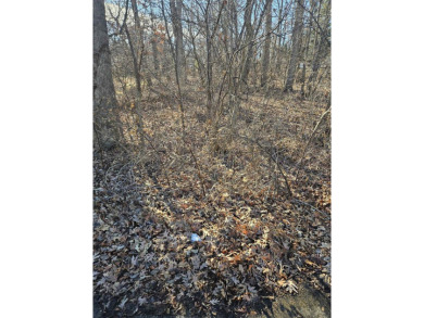 Lake Lot For Sale in Lake Summerset, Illinois