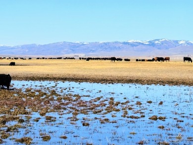 Rare opportunity to own an exceptional legacy ranch with - photo 3