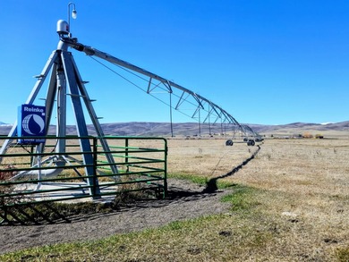 Rare opportunity to own an exceptional legacy ranch with - photo 6