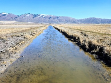 Rare opportunity to own an exceptional legacy ranch with - photo 8