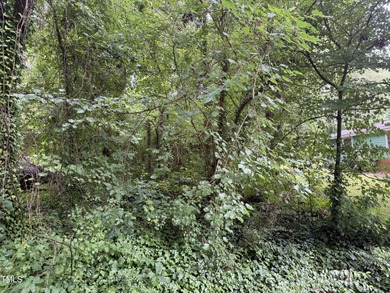 Kerr Lake Lot For Sale in Henderson North Carolina