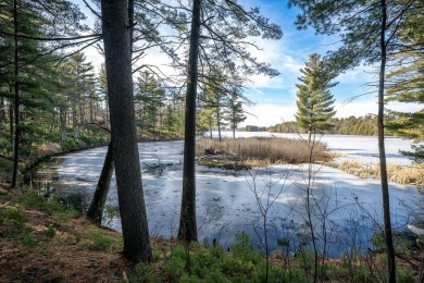 Lake Acreage For Sale in Wisconsin Rapids, Wisconsin
