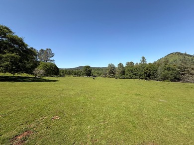 New Melones Lake Acreage For Sale in Vallecito California