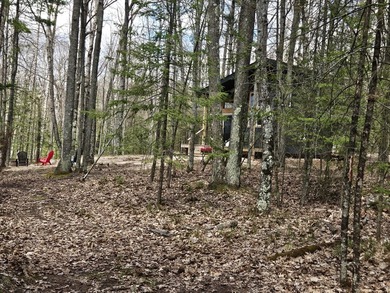 Your Modern Northwoods Sanctuary Own a space where the - photo 12