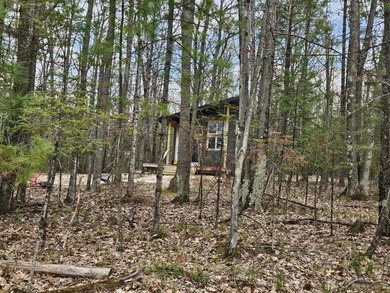 Your Modern Northwoods Sanctuary Own a space where the - photo 13