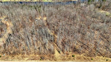 Tucked away in the quiet Northwoods of Ojibwa, WI, this - photo 4