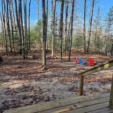Your Modern Northwoods Sanctuary Own a space where the - photo 14