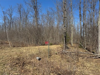 Tucked away in the quiet Northwoods of Ojibwa, WI, this - photo 5