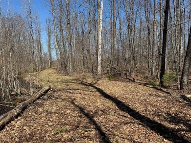 Tucked away in the quiet Northwoods of Ojibwa, WI, this - photo 6