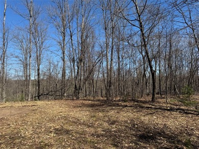Tucked away in the quiet Northwoods of Ojibwa, WI, this - photo 7