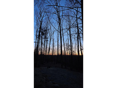 Your Modern Northwoods Sanctuary Own a space where the - photo 17