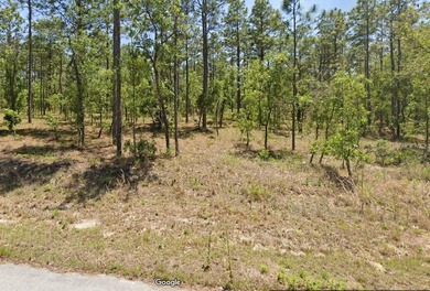 Bonable Lake Lot For Sale in Dunnellon Florida