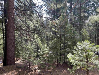 Great property facing Bailey Creek. In the spring the sound of - photo 1