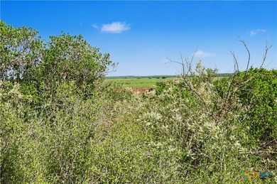 Horseshoe Bend of the Colorado River Ranch A truly amazing - photo 32