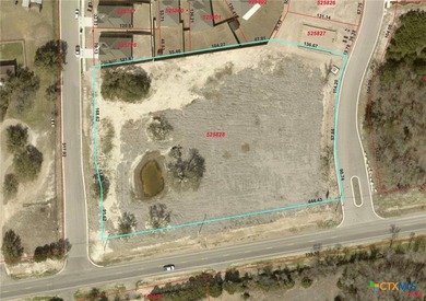 Commercial Land - Located at the corner of FM 2410 Hwy and Cedar - photo 4