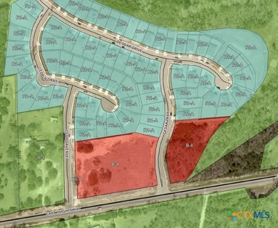 Commercial Land - Located at the corner of FM 2410 Hwy and Cedar - photo 5