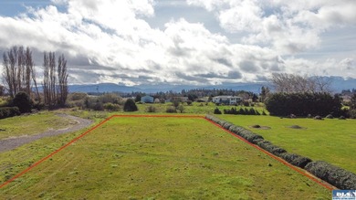 This is your opportunity to own the last available lot on scenic - photo 6
