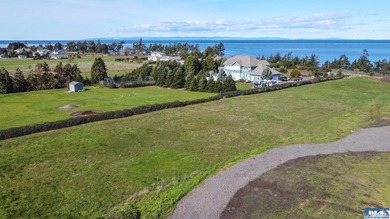 This is your opportunity to own the last available lot on scenic - photo 7