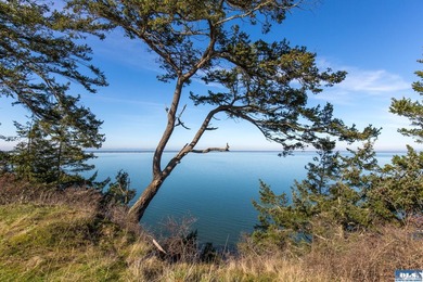 This is your opportunity to own the last available lot on scenic - photo 9