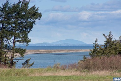 This is your opportunity to own the last available lot on scenic - photo 10