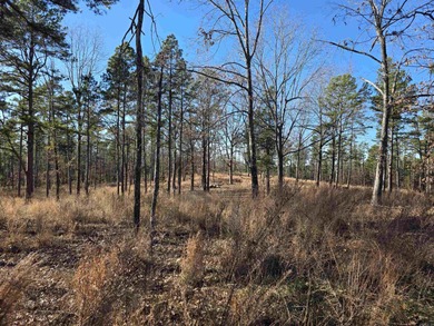 (private lake, pond, creek) Acreage For Sale in Oxford Arkansas