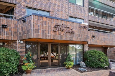 Lake Condo For Sale in Minneapolis, Minnesota