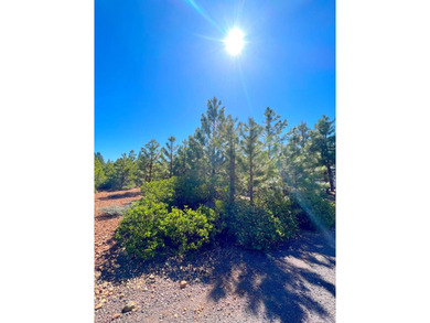 Great price for this nearly level property. Views of Dyer - photo 1