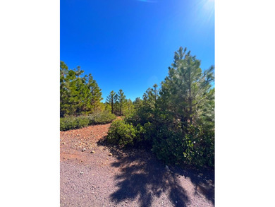 Great price for this nearly level property. Views of Dyer - photo 2