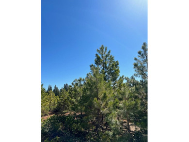 Great price for this nearly level property. Views of Dyer - photo 4