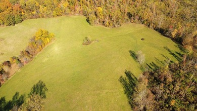 Dale Hollow Lake Acreage For Sale in Albany Kentucky